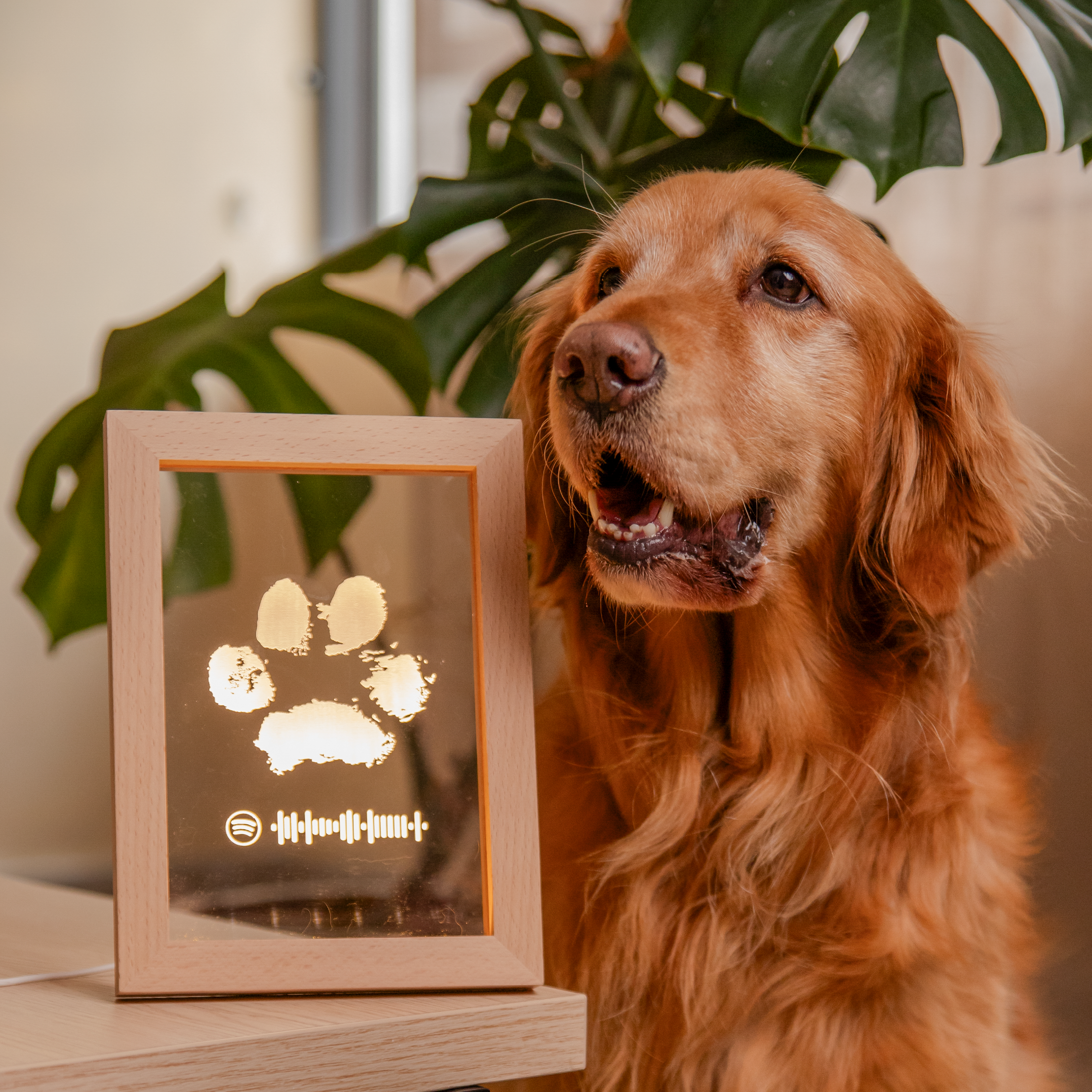 Portarretrato Huella Mascota