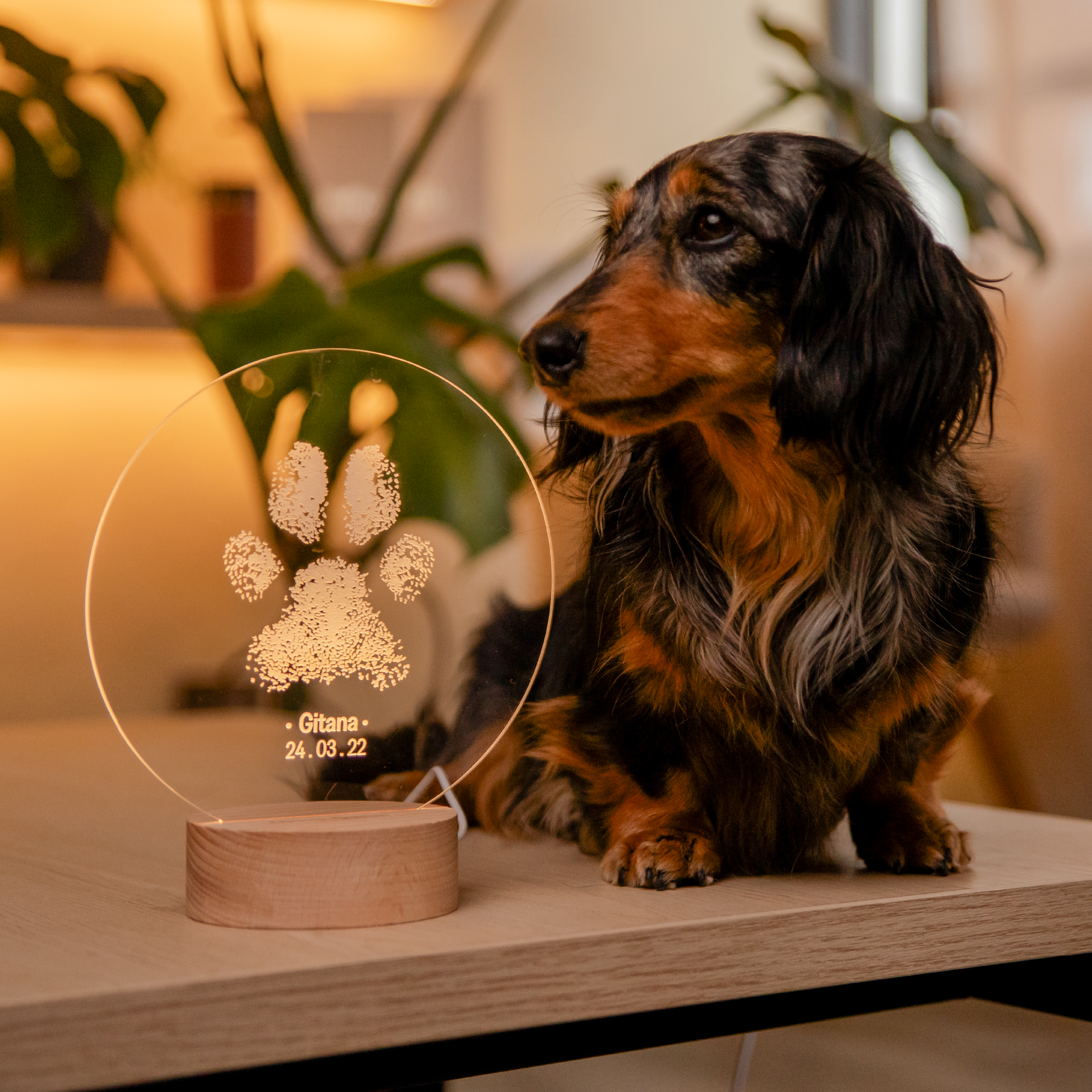 Lámpara Madera Huella Mascota