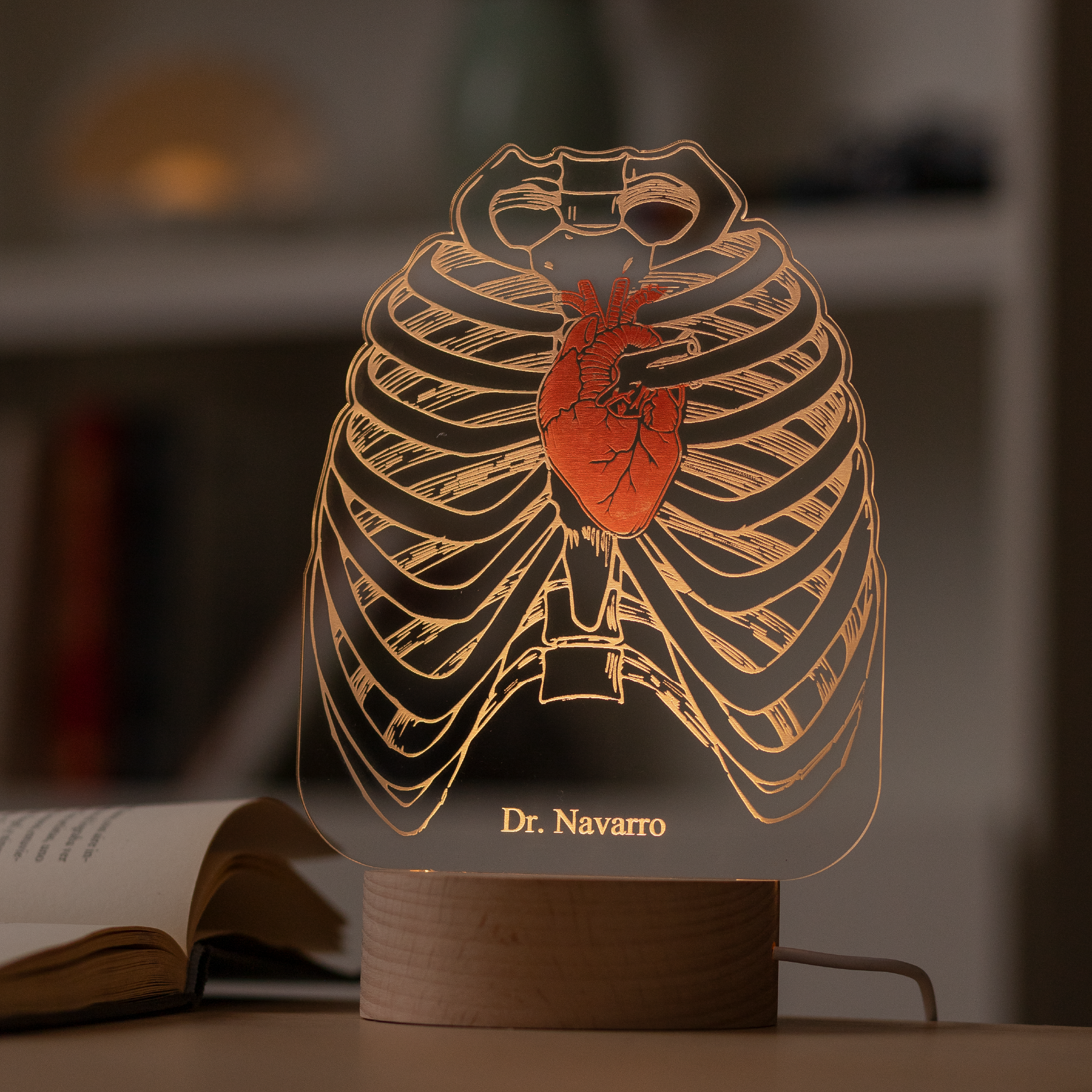 Lámpara DOS colores: Tórax y Corazón