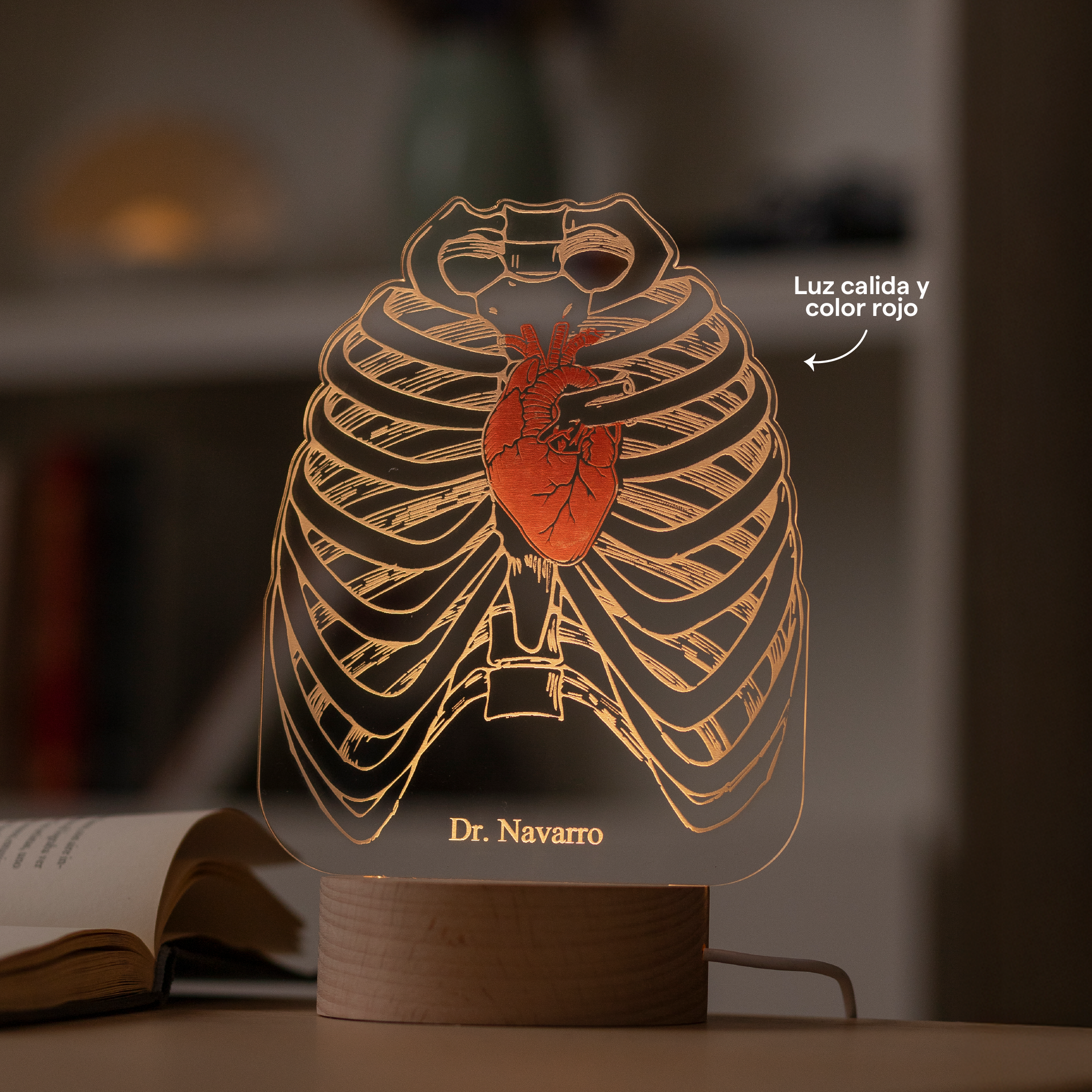Lámpara DOS colores: Tórax y Corazón