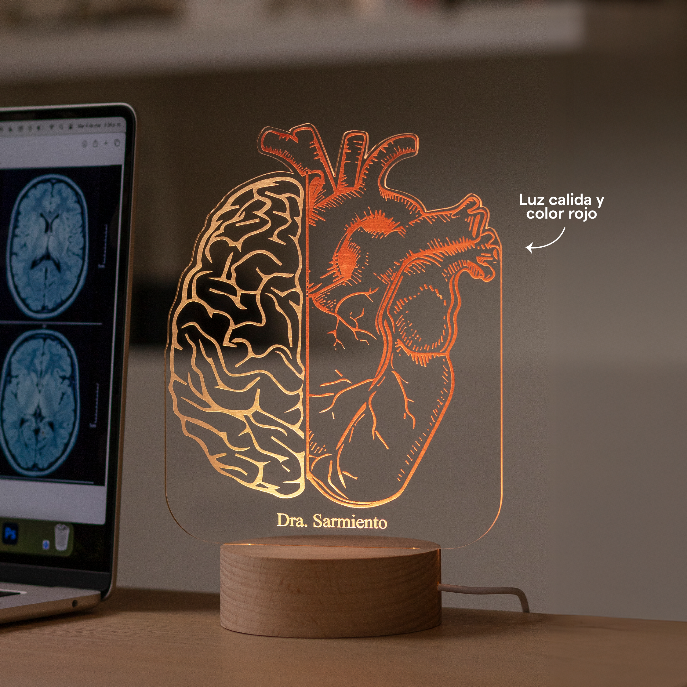 Lámpara DOS colores: Corazón y cerebro