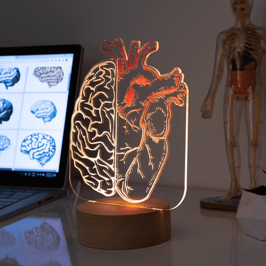 Lámpara DOS colores: Corazón y cerebro