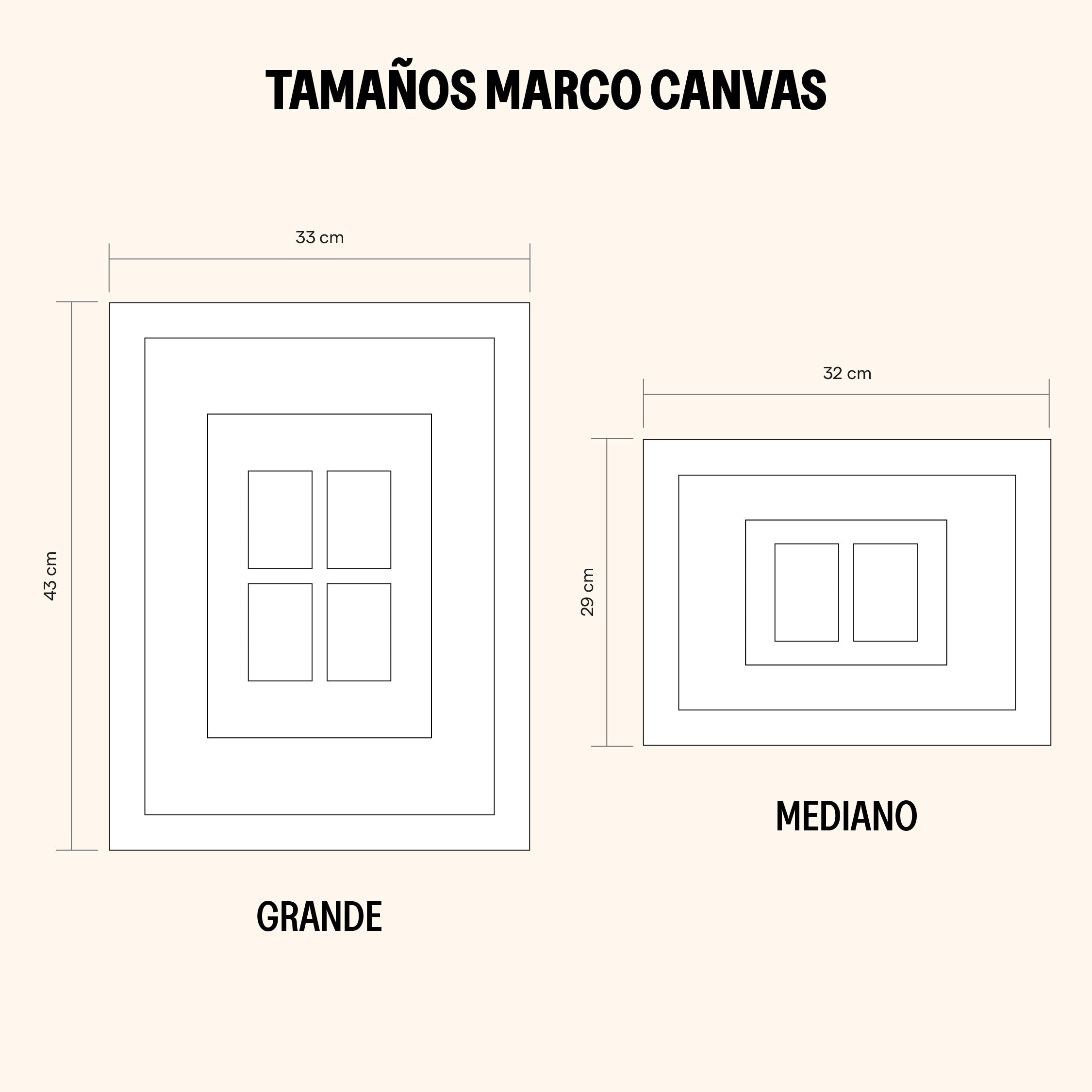 PREVENTA Marco Canvas